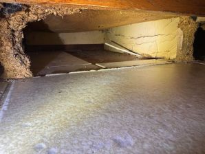 Water Damage Restoration in San Carlos Park, FL (3)