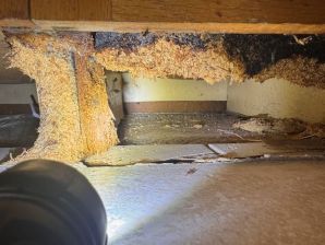 Water Damage Restoration in San Carlos Park, FL (2)
