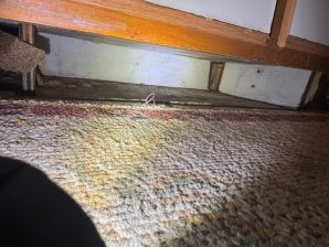 Water Damage Restoration in San Carlos Park, FL (1)