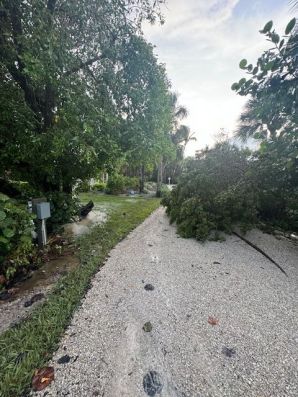 Water Damage Restoration in Sanibel, FL (8)